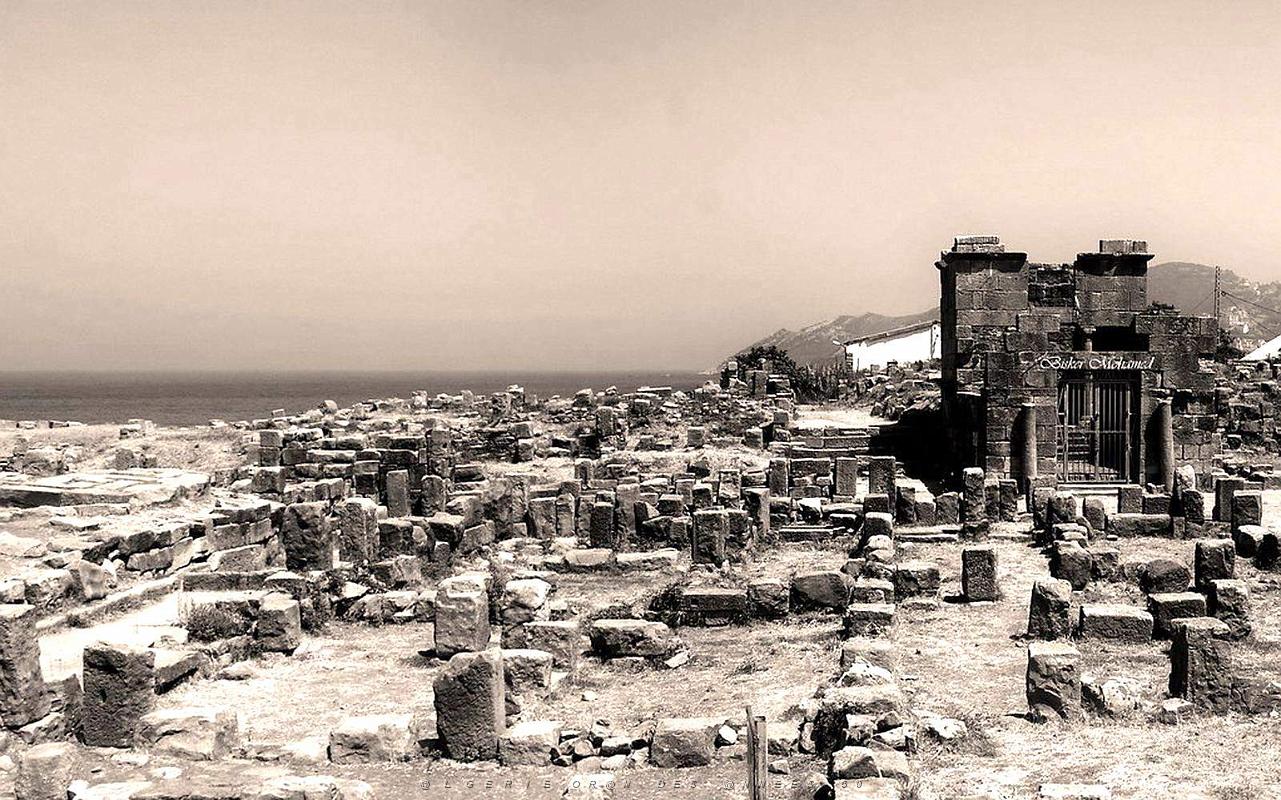 ALGERIE-RUINES ROMAINES DE TIGZIRT (9).jpg